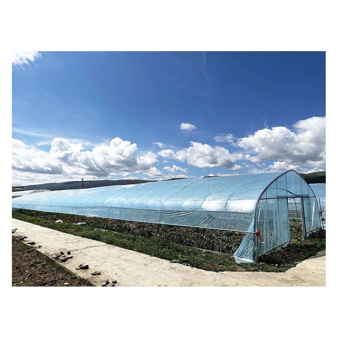 Baolida Plastic Film Green House Metal Hotehosue Frame Tunnel With Plastic Covering