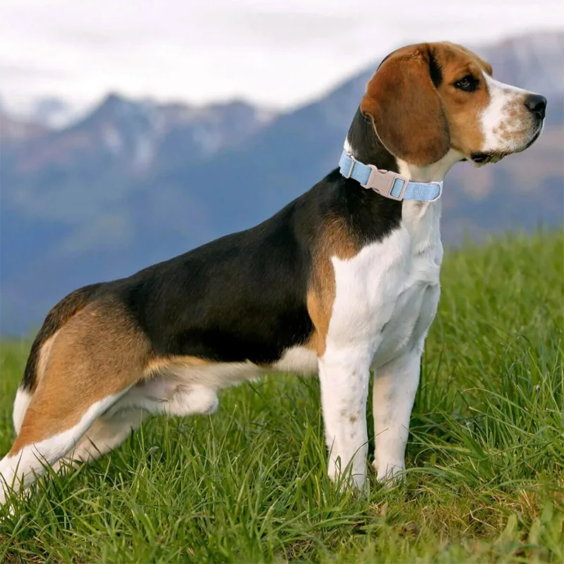 Pet Cotton And Linen Dog Solid Colour Insert Buckle Collar Adjustable Environmental Linen Dog Leash Dog Collar Collar Wholesale