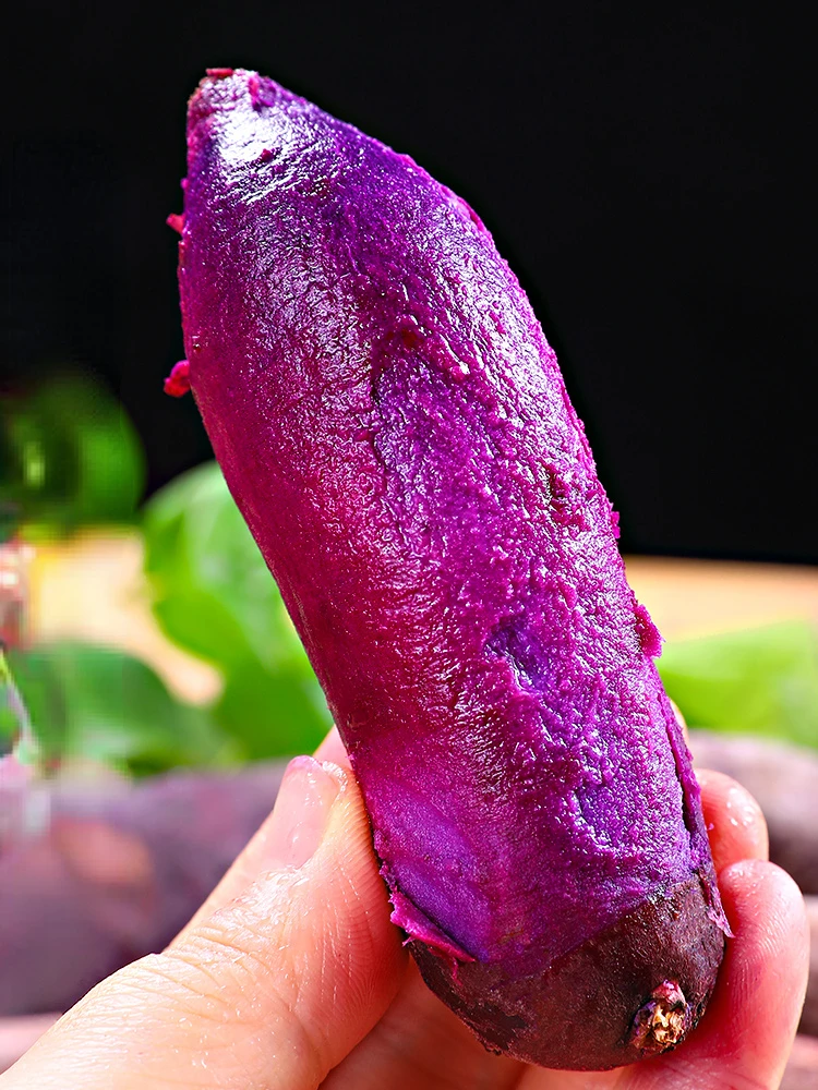 На фермах, установлено высокое качество для экспорта Китай свежий сладкий картофель естественно сладкий