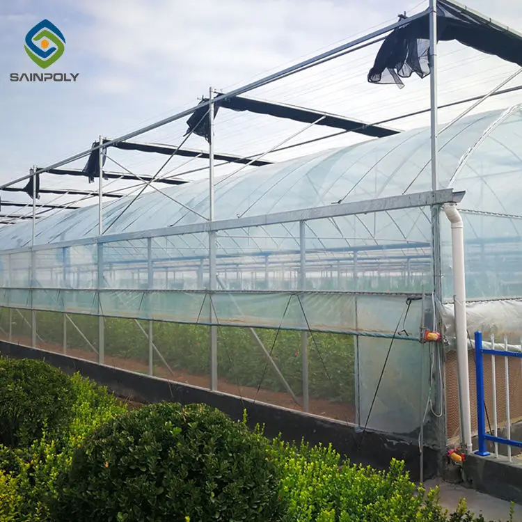 Low cost green house mushroom growing greenhouse