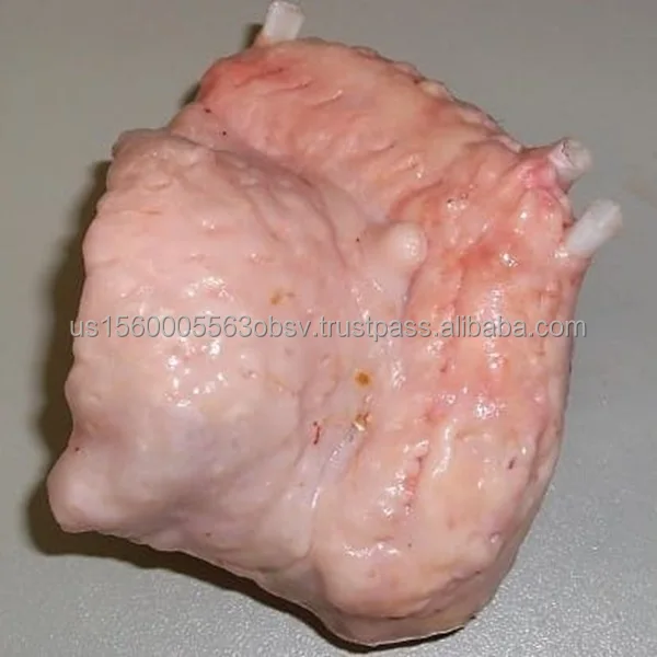 Bulk Turkey Tail for Sale