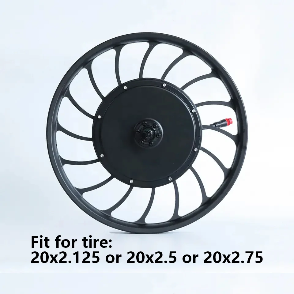 48V 1000W Disc Brake E Bicycle Electric Bike 20 Inch Motor Conversion Kit