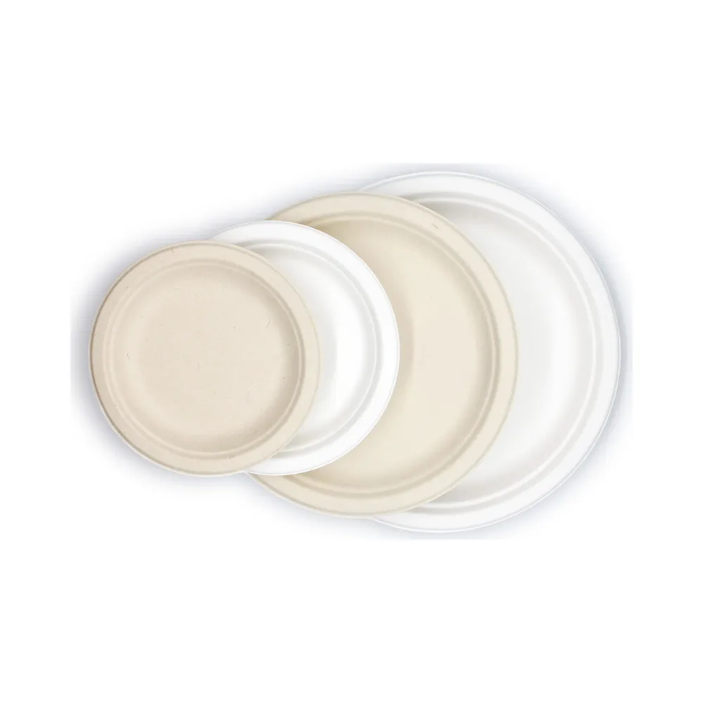 Widely Used Superior Quality Biodegradable Food Flat Plate Disposable Plates Sugarcane Bagasse Food Plates 6 inch