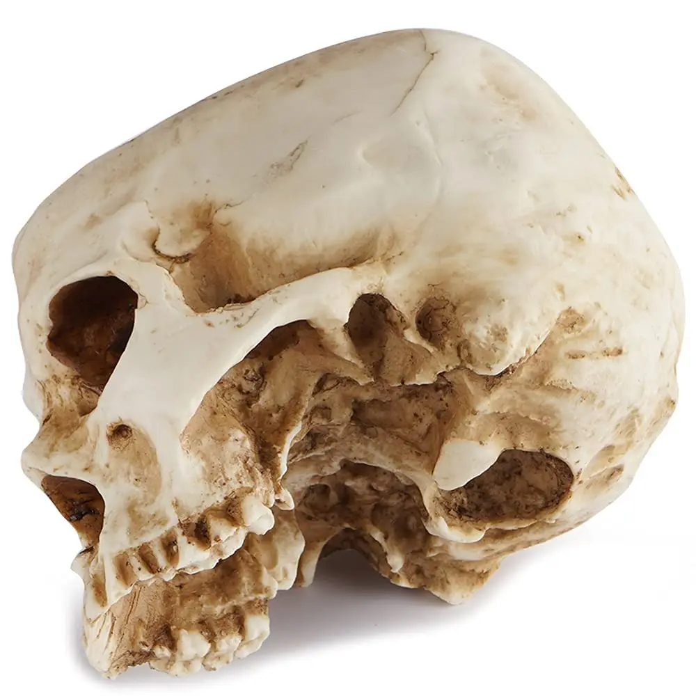Home Office Desk Decor Skull Planter Resin Skull Flower Pots For Halloween Ornaments