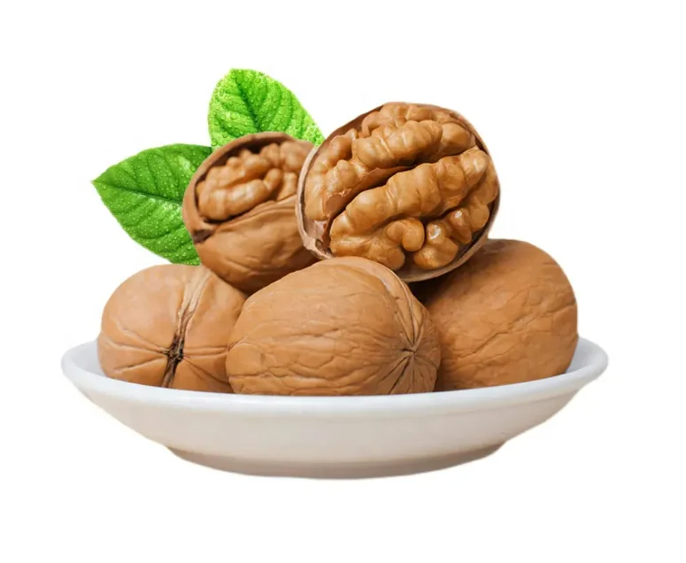 Wholesale Rich in Nutrition Walnut and Paper Shell Walnut from Xinjiang