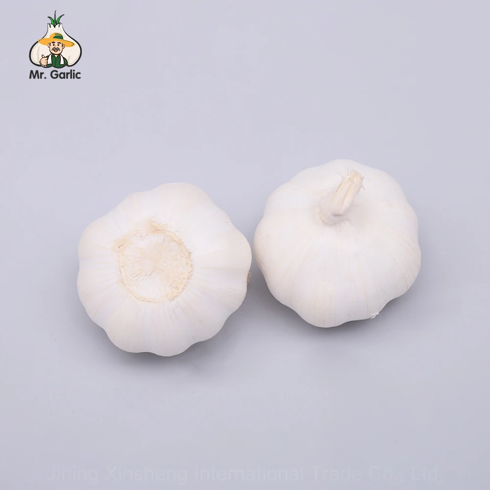 Low Price Wholesalenord Garlic Import From China Fresh Pure White Garlic
