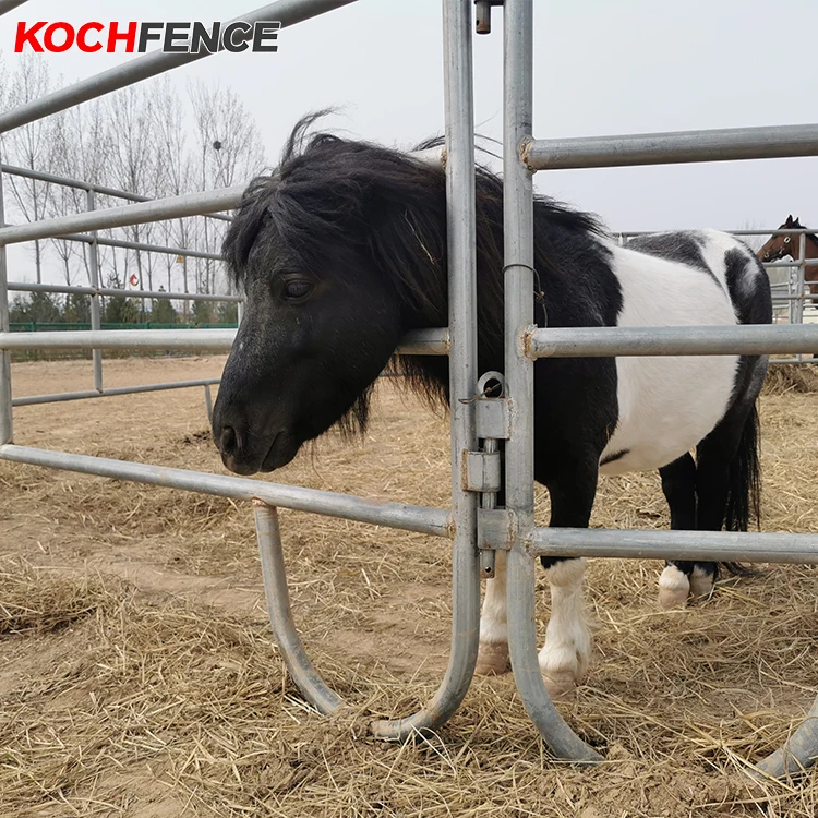 American livestock animals fence,wholesale bull/cattle/horse galvanized/powder coated farming livestock panel