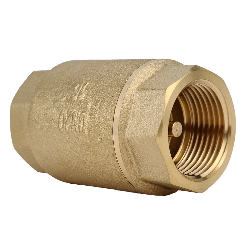 H01 Brass Vertical Check Valve Spring Swing Flap Check Valve Thread Connection