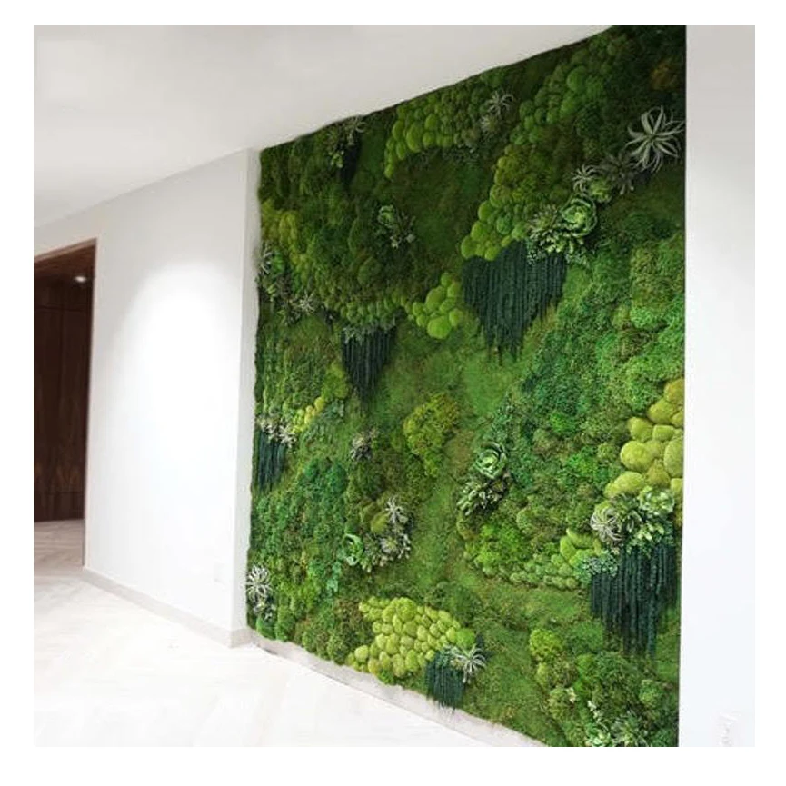 Customized Preserved Moss Wall Art Frame Hor Home Decoration Christmas decor