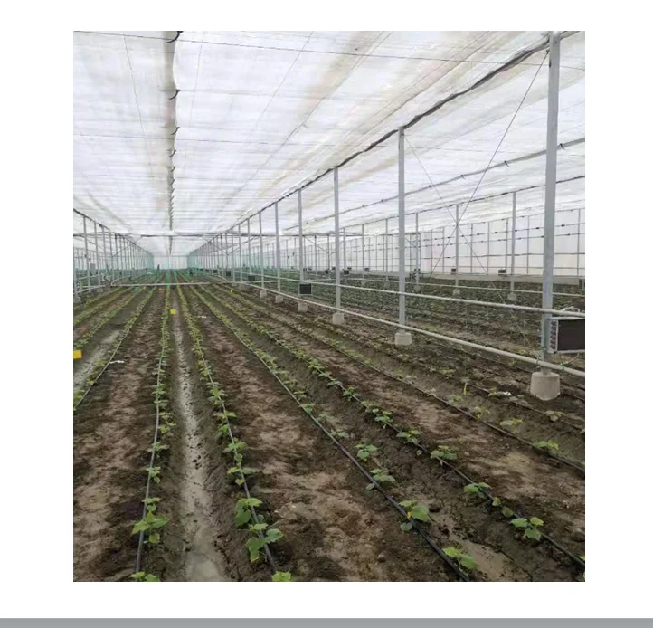 Farm automatic Precision Fertigation system irrigation intelligent irrigate system operate by cumputer/phone