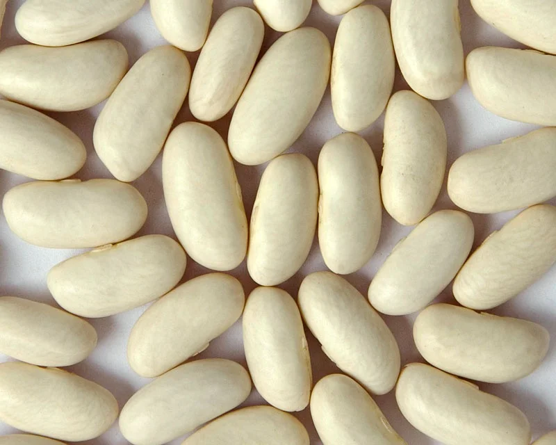 
Bulk Wholesale Lima Beans Big size white kidney beans 