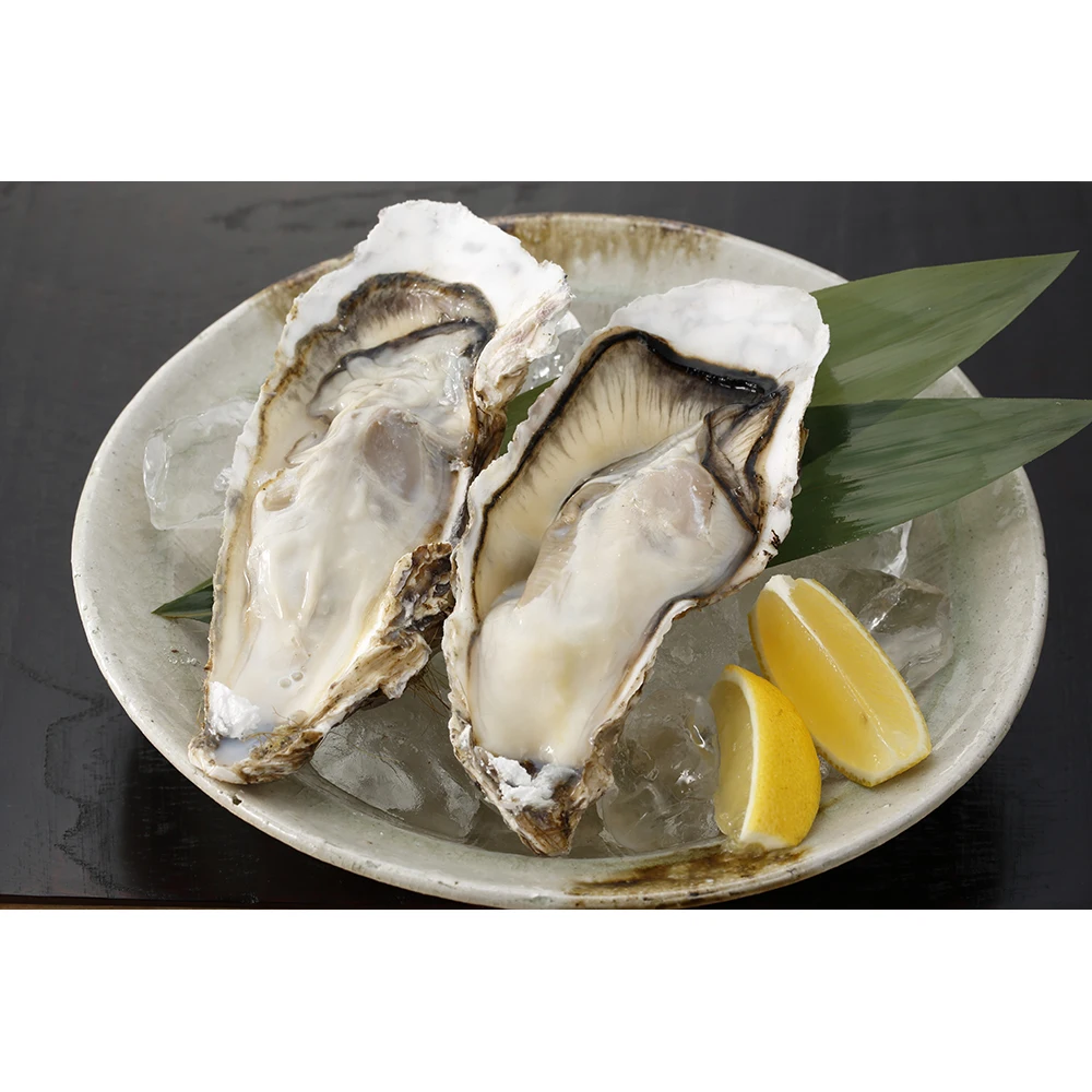 
Whole Shell Oysters 22mm Delicious Fresh Dried Oyster For Health 