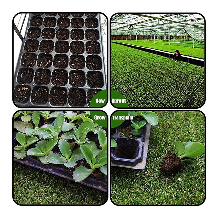 Wholesale Plastic 21 32 50 72 105 128 Cells Plant Vegetables Flower Growing Seed Nursery  Trays