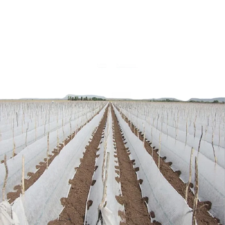Нетканый материал spunbond для сельского хозяйства от производителя нетканое покрытие земли пейзаж pp полотно сельскохозяйственных культур