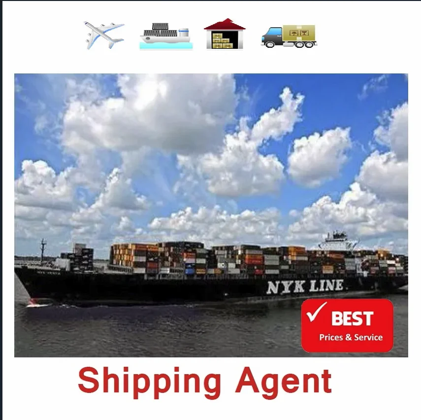 Free Warehouse Shopify Dropship Service Dropshipping Agent Ocean FCL LCL to USA Canada Australia