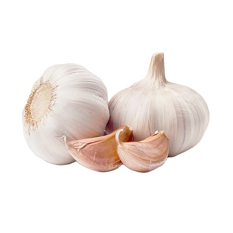 Cheap Price Fresh Garlic Normal White Pure White Garlic Wholesale Garlic