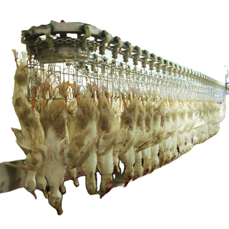 500bph compact slaughtering line, small  poultry slaughtering processing line