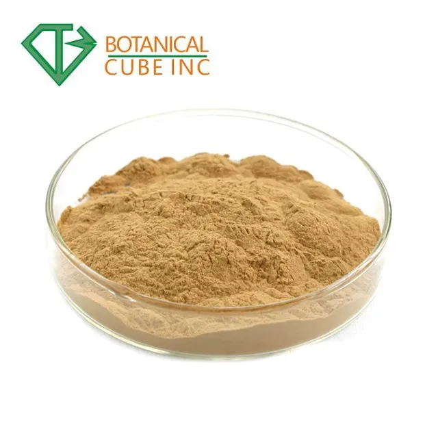 High Purity Natural Green Tea Leaves Green Tea Extract Powder 98% Polyphenol