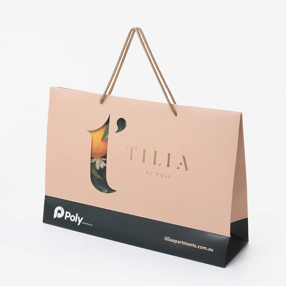 
Cheap Price Luxury Famous Brand Gift Custom Printed Shopping Paper Bag With Your Own Logo 