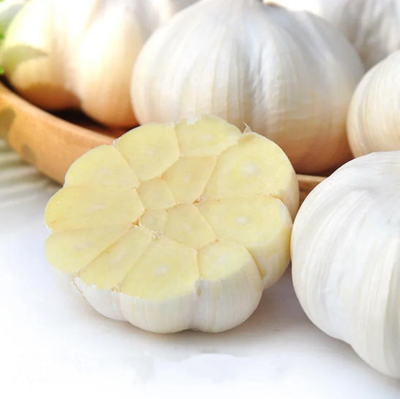 hotsale Chinese fresh garlic,white garlic for taste