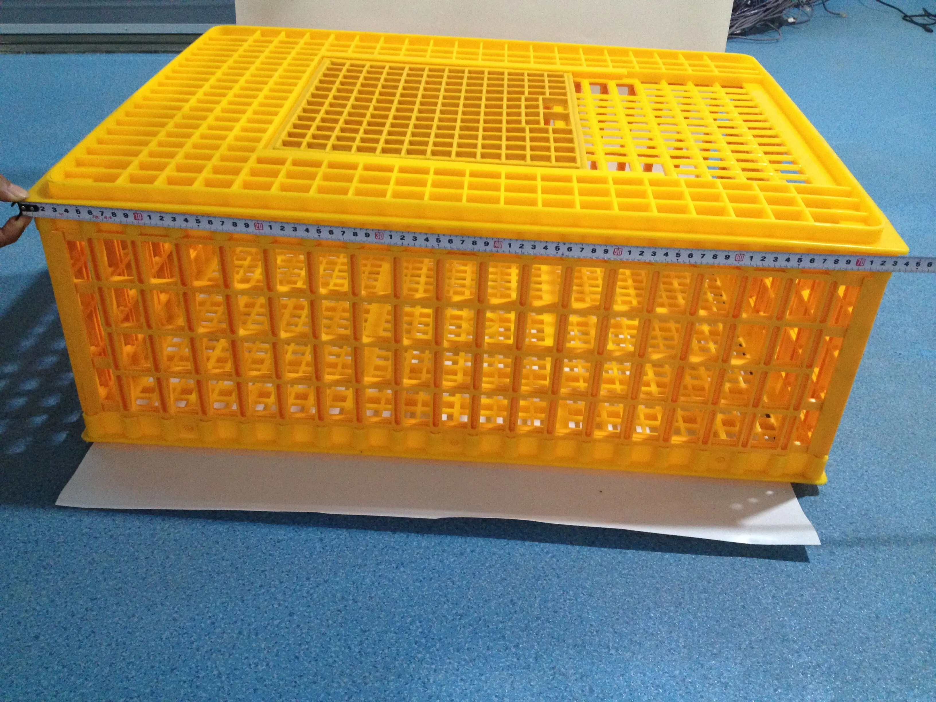 capacity 20-22 chicken transport crate live poultry Carrier HJ-DN015
