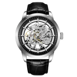 Montre Automatique Pagani Design 1638 Mechanical Wrist Watches Waterproof Luxury Skeleton Automatic Watch