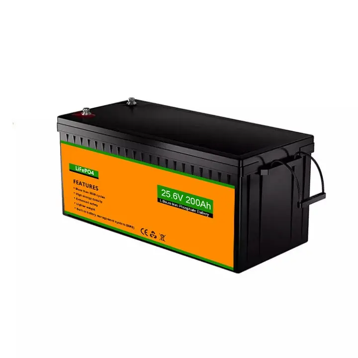 customized built-in BMS 200A APP monitoring deep cycle 24 V 200ah Lifepo4 Battery for caravan/RV/camping