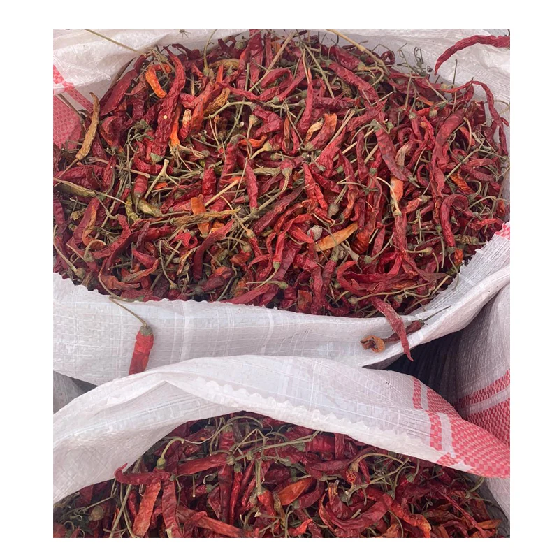 
Natural Hot and Spicy Dried Red Chili Pepper From Egypt Supplier 