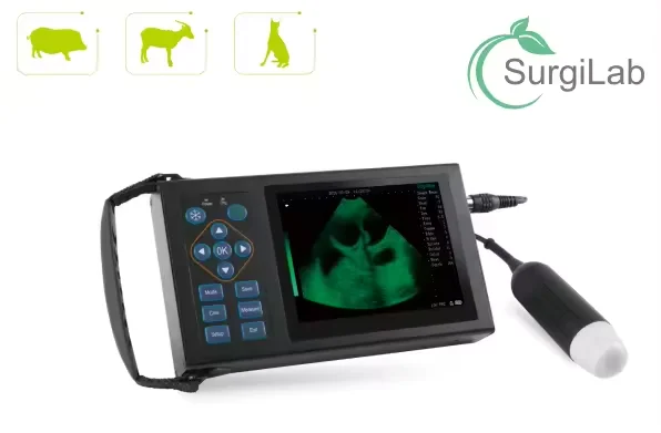 Professinal medical portable ultrasound scanner Vet Ultrasound Equipment pig sheep cow  ultrasound detector