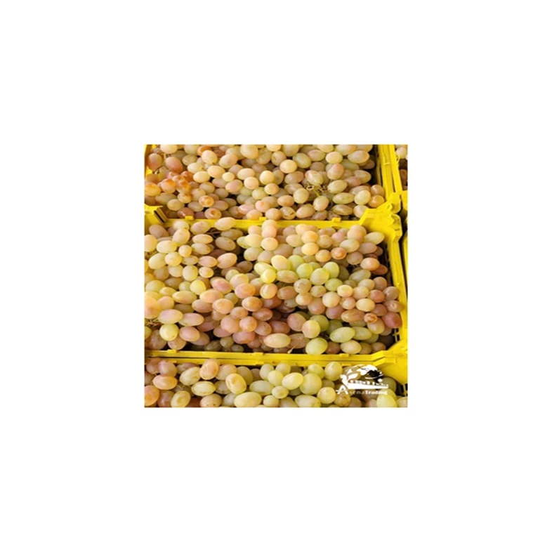 Premium Style High Quality Food Organic Package Weight Origin Quality Size Grade Fresh Sweet Seedless Grapes