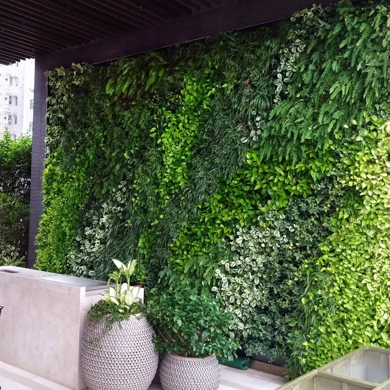 vertical garden green wall miniature garden