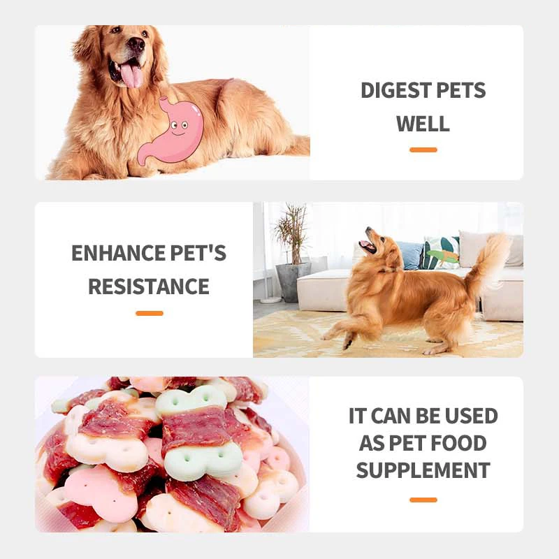 Dog Food Suppliers Wholesale High Protein Molar Nutrition 200g Duck Pet Biscuit Pet Snack