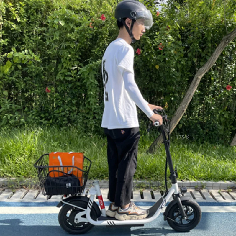 12inch e scooter-ddef.jpg