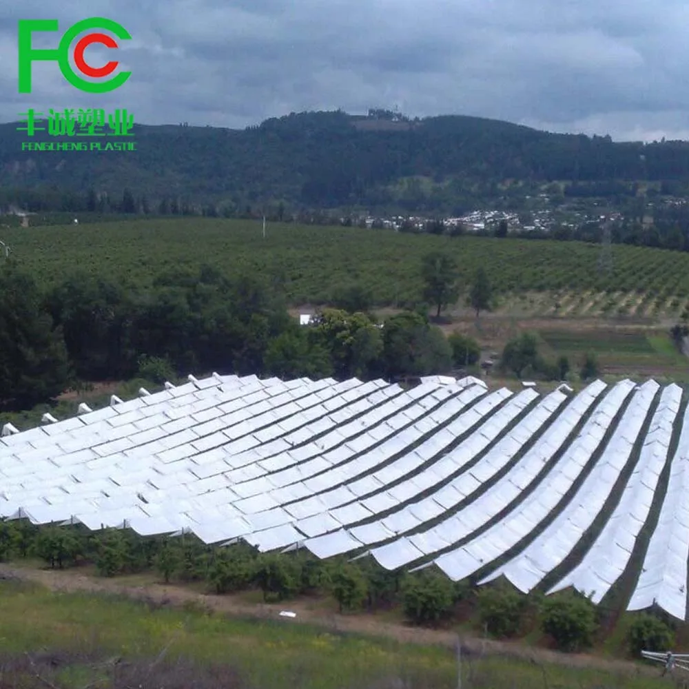 150GSM HDPE Reinforced Grape Rain Cover Tarpaulin Cherry Crop Protected Under Plastic Covers