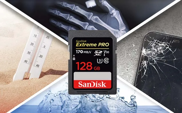 Extreme Pro Sd Sdsdxxy-064g-gn4in R170 W90