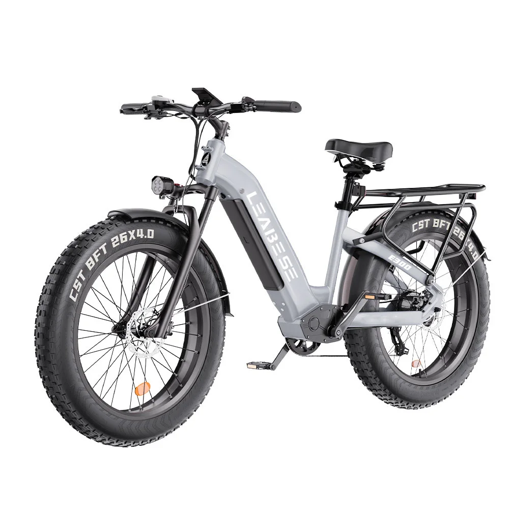 US Warehouse E Bike E-Bike Dual Motor 750w Electric Bike Adult Strong Power Electric Bicycle City Ebike