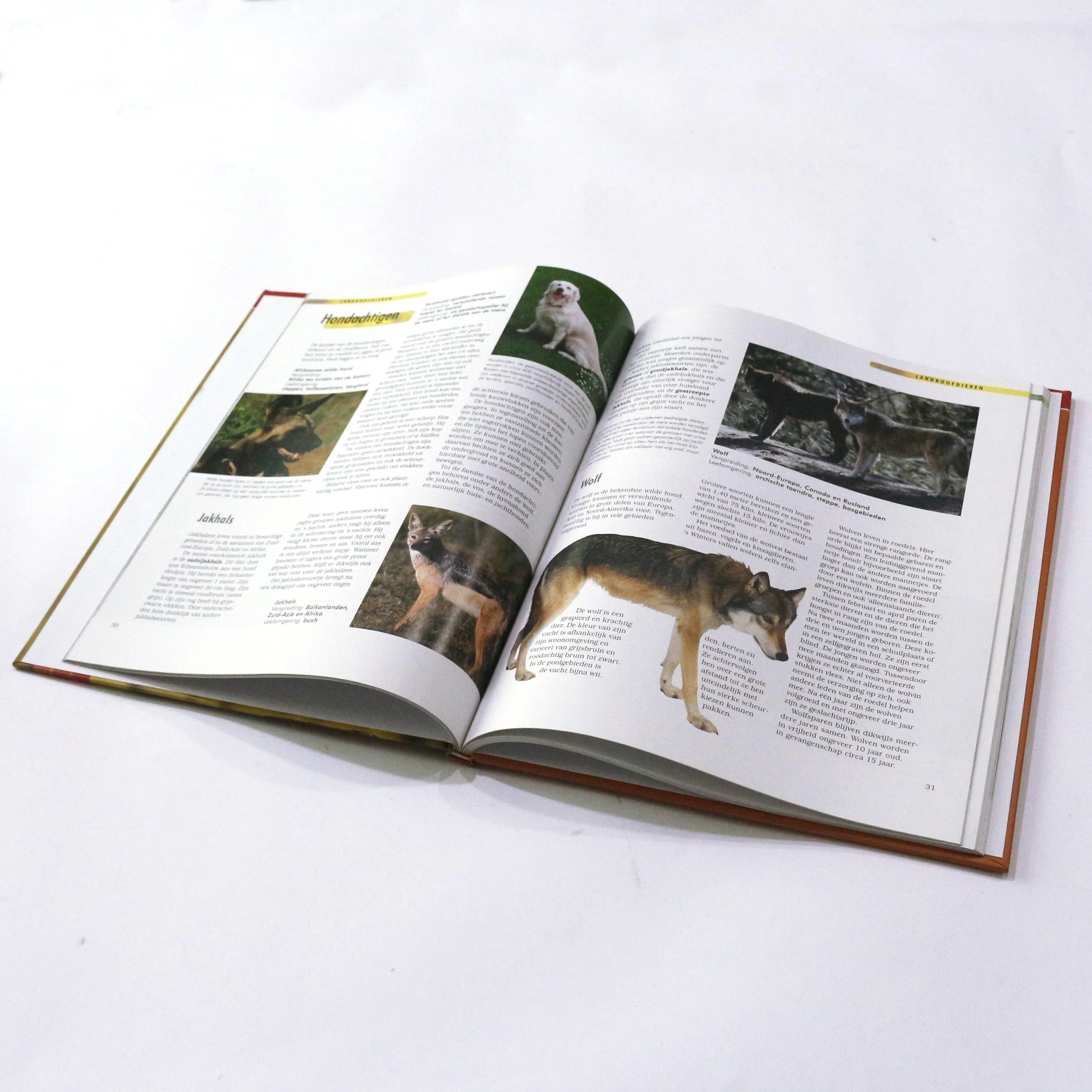 Детская книжка-раскраска