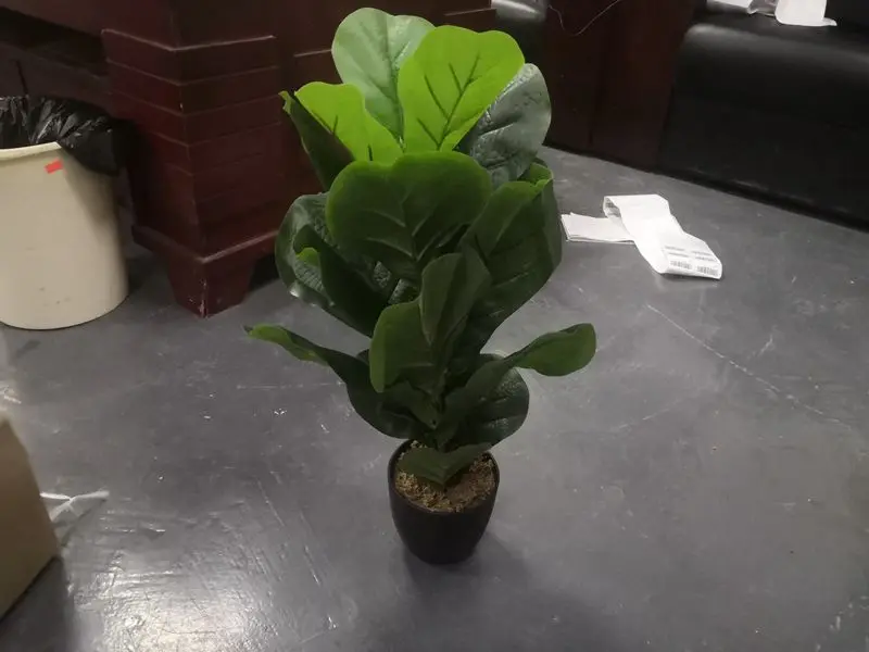 Artificial Plant Product Fiddle Leaf Plant Inspection Service Quality Control Service Third Party Inspection Company In China