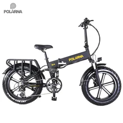 Polarna EBIKE 205 Foldable Aluminum alloy Electric bike Full suspension Mountain Electric bicycle fat tyre E-bike