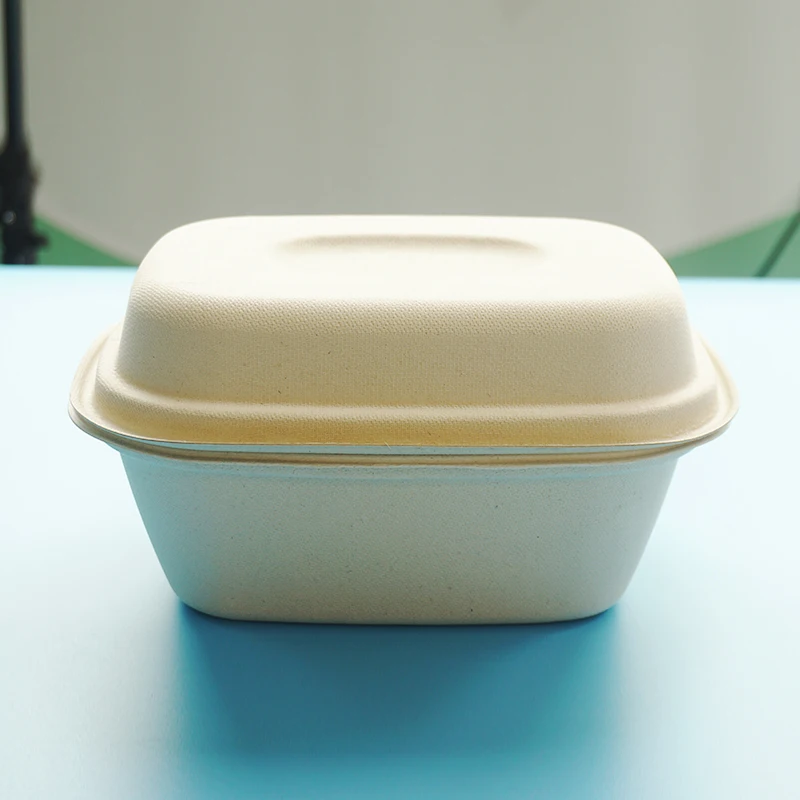 Clamshell Biodegradable Microwave Natural Sugarcane Pulp Bagasse Food Container