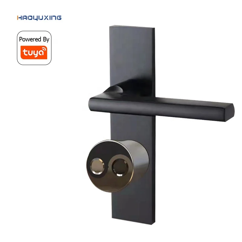 Zinc Alloy mortise cylinder door lock smart Fingerprint Key Tuya app smart bedroom door lock European standard