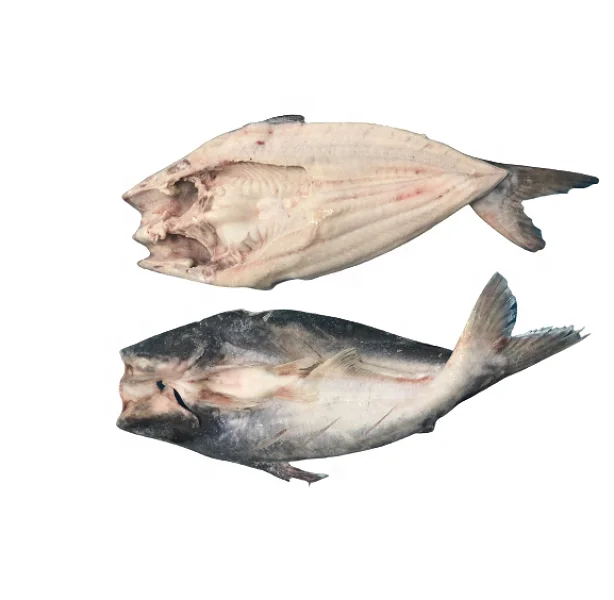 Pangasius Butterfly/ Basa Butterfly Best Seafood in Vietnam