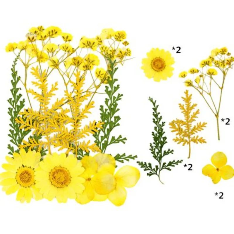 Wholesale Dried Resin Dry Leaves Bulk  DIY Art Crafts Epoxy Nails Decor Flower Pressing Toys