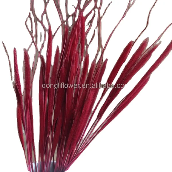 Dried natural Chinese pennisetum grass cat tail wolf tail feather grass, home decoration, floral arrangement