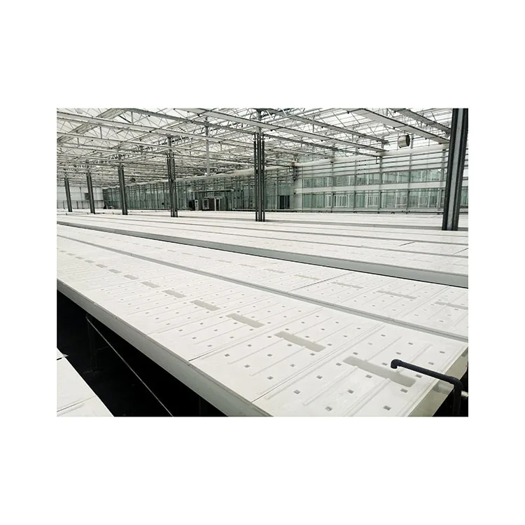 Complete  Greenhouse Hydroponic DFT Growing System