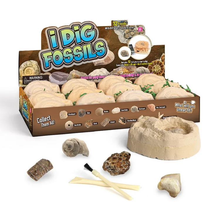 Creative Children DIY Handmade Toy Shell Conch Fish Fossil Archaeological Excavation Set