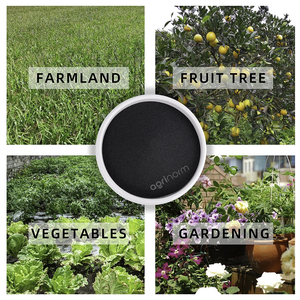 Agriculture supplement nutrition fertilizers organic humic fulvic acid soluble potassium humate granule