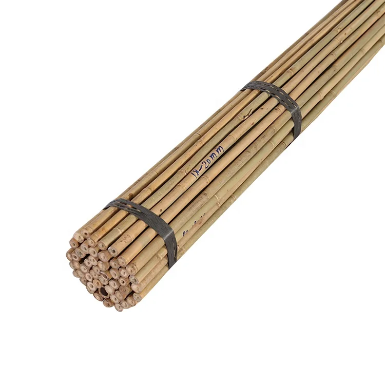 tonkin bamboo canes  Dia.18-20mm x 300cm for Tree Guards