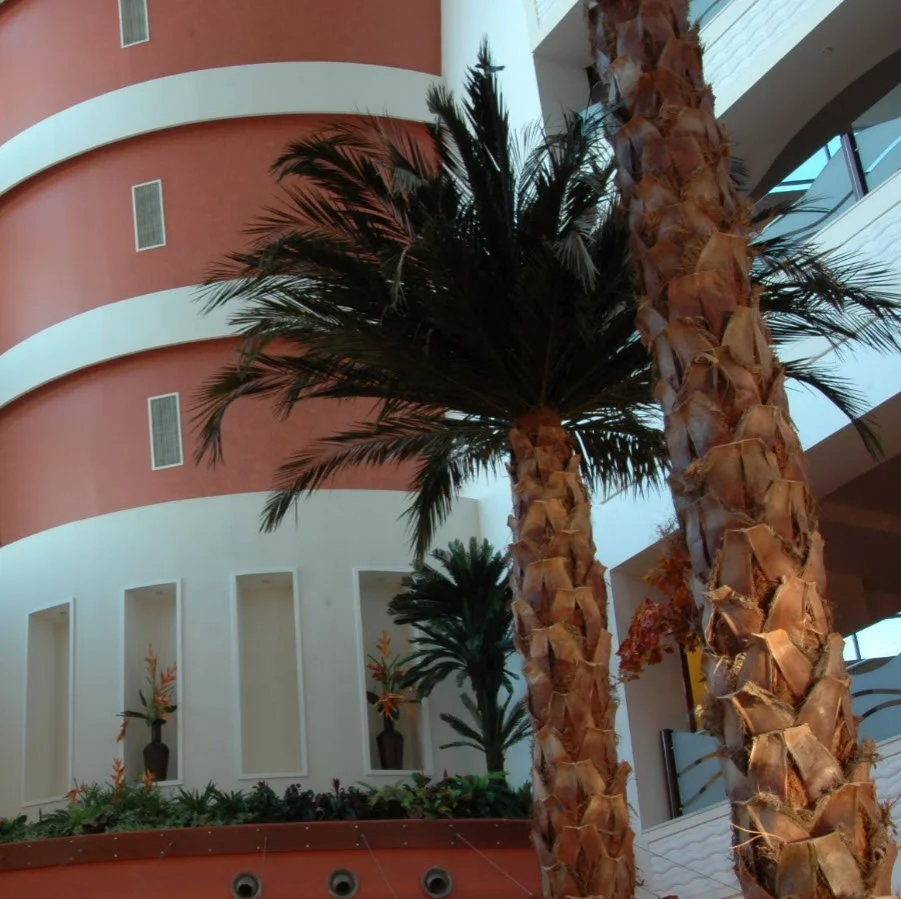 Artificial Palm Tree for Indoor and Outdoor Preserved Palm Trees Washingtonia Phoenix Date Palm Tree for Decoration