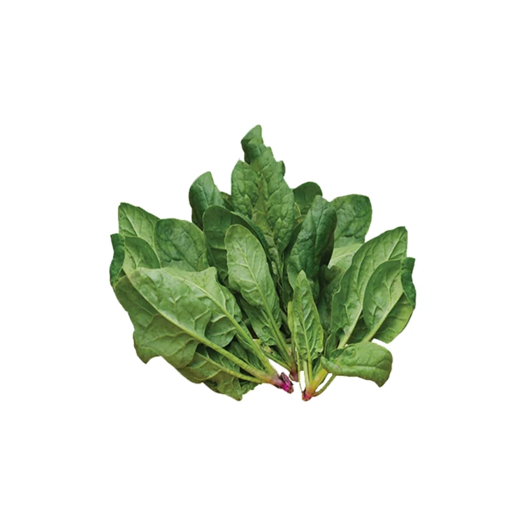 
 Шпинат экстракт порошка спинасиа олерасеа  
